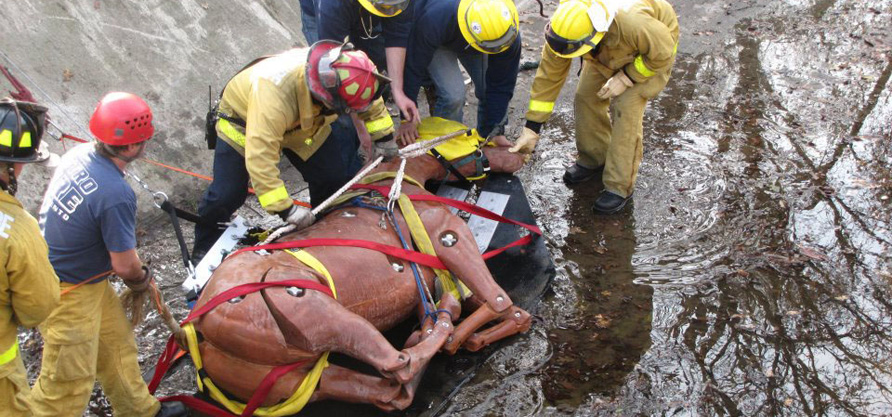 Animal Technical Rescue Awareness